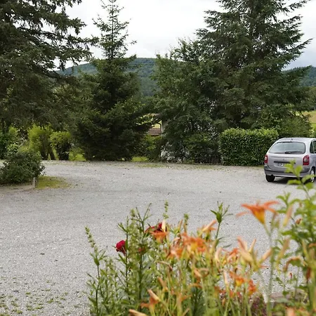 A L'arbre Wintzfelden