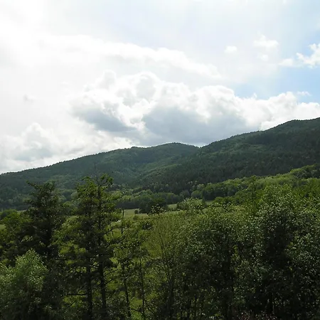 A L'arbre Wintzfelden