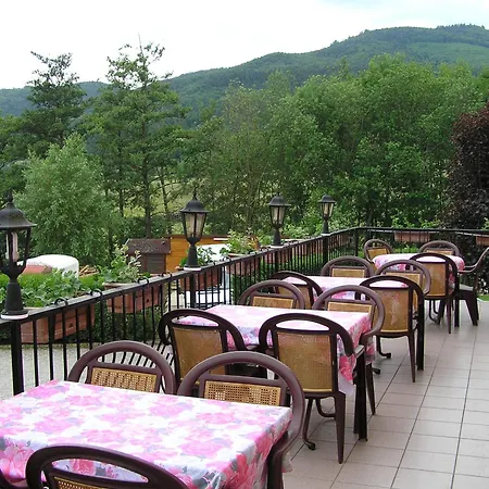 A L'arbre Wintzfelden