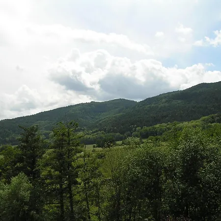 A L'arbre Отель