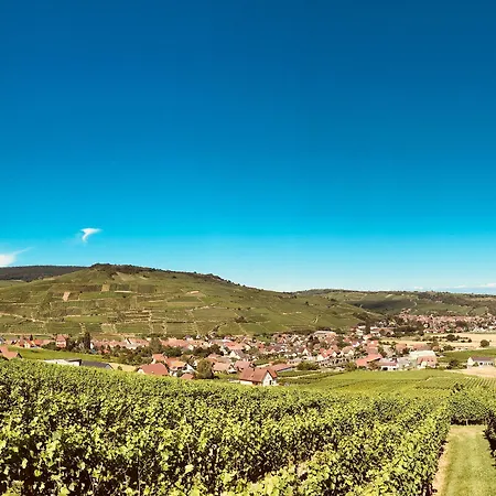 A L'arbre 2* Wintzfelden